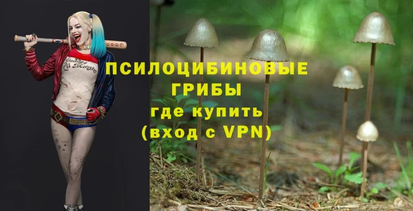 кристаллы Богданович